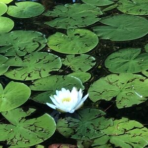 Meet your Posher, Carolyn